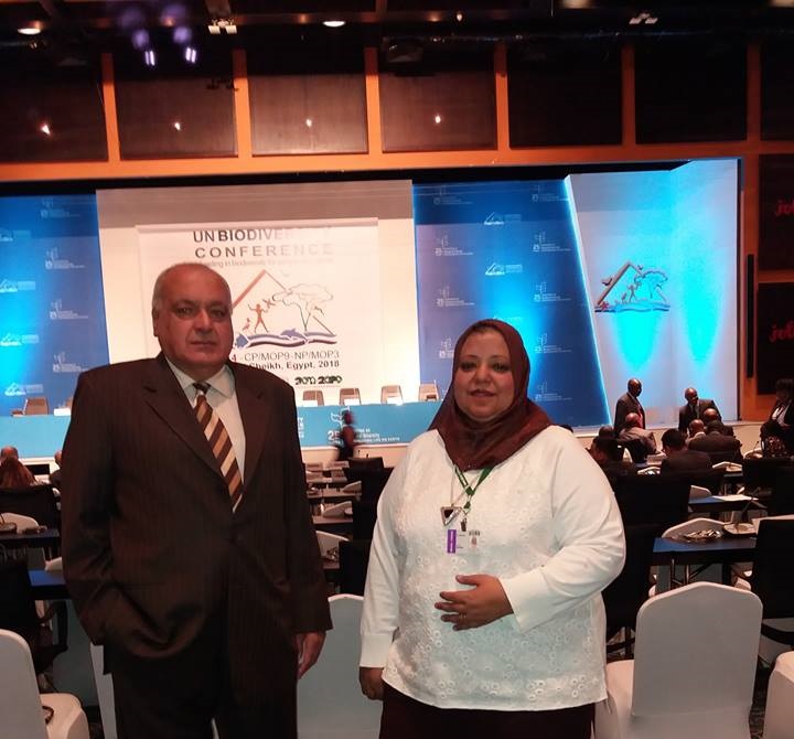 عزاء واجب.. صوت الوطن تنعي والدة الكاتبة الصحفية أماني سلامة