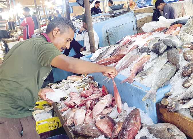 محافظ البحر الأحمر: إعادة فتح الصيد بمياه البحر الأحمر بعد وضع الضوابط الجديدة