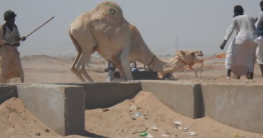 الكلة" مهنة الشحن والتفريغ فى سوق الجمال ومنافذ حلايب وشلاتين..