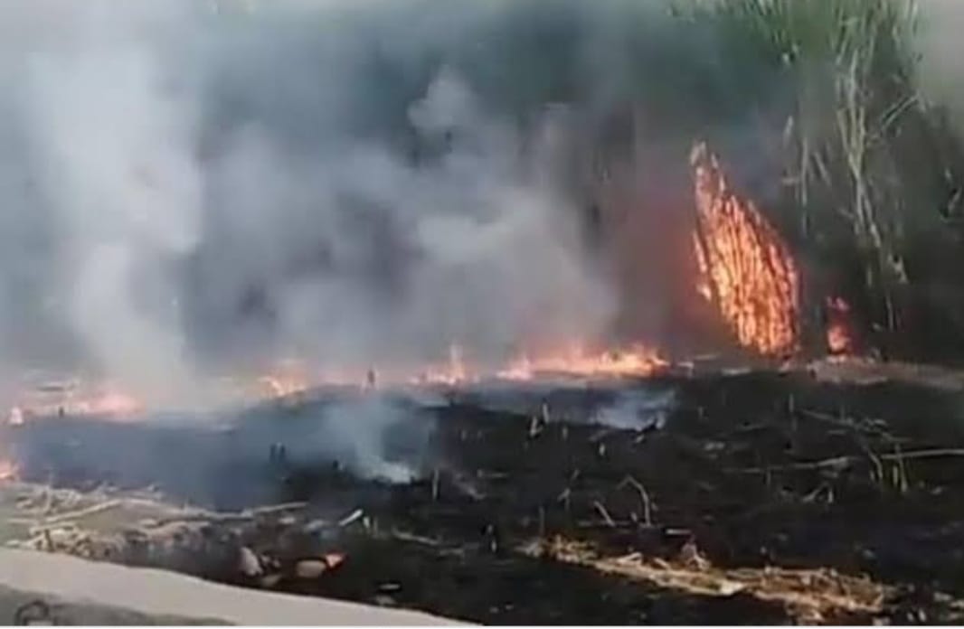 حريق بعدة اراضي زراعية بمدينة طما بسوهاج 