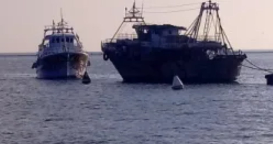 التضامن..بدء صرف تعويضات فترة توقف الصيد إلى 3,620 صيادًا في بحيرتي السد العالي وقارون