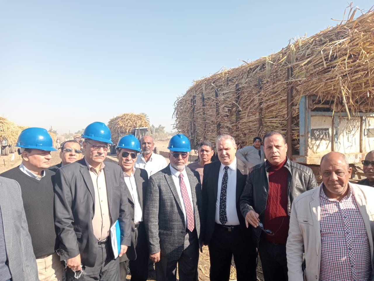 "التموين": توريد 277 ألف طن قصب من المزارعين لمصانع السكر بأسوان والأقصر