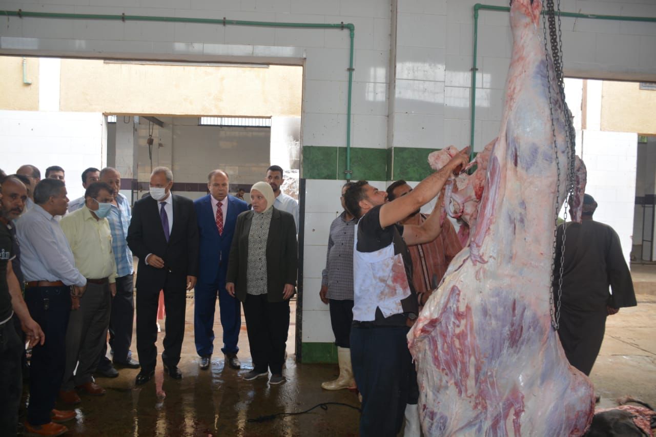 محافظ القليوبية ورئيس جامعة بنها يتفقدا عدداً من المجازر التابعه للمحافظه بمدن بنها والقناطر الخيريه لمتابعة سير العمل فيها وإنتظام إستقبال الأضاحي خلال أيام عيد الأضحى المبارك 