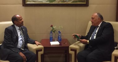 وزير الخارجية يبحث إقامة منطقة حرة لوجيستية مصرية فى جيبوتى
