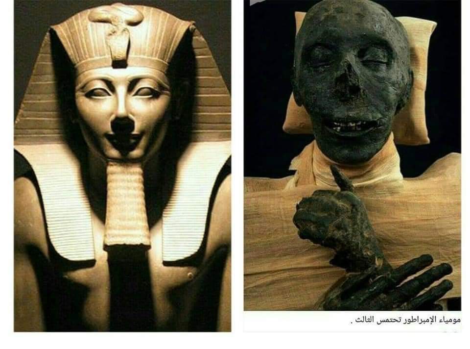 أعرف مواعيد وأسعار زيارة متحف الحضارات في رمضان