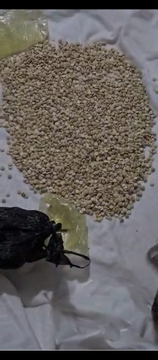 صور: إحباط تهريب مخدرات من اليمن إلى السعودية