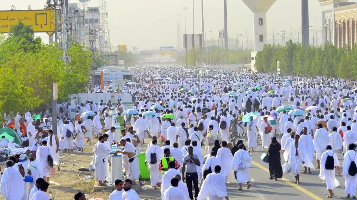 نجاح خطة تصعيد حجاج الجمعيات الأهلية إلى عرفات..
