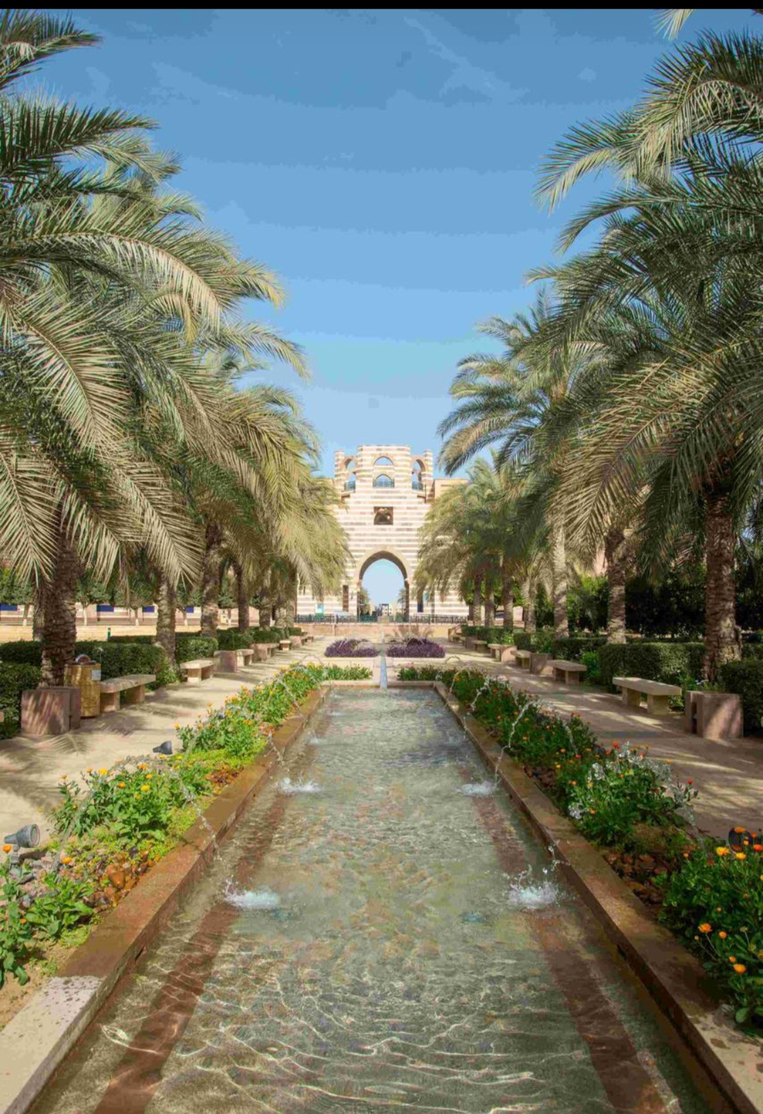 الجامعة الأمريكية بالقاهرة  .. رائدة في تشكيل مستقبل أفريقيا المناخي من خلال برامج تدريبية متطورة
