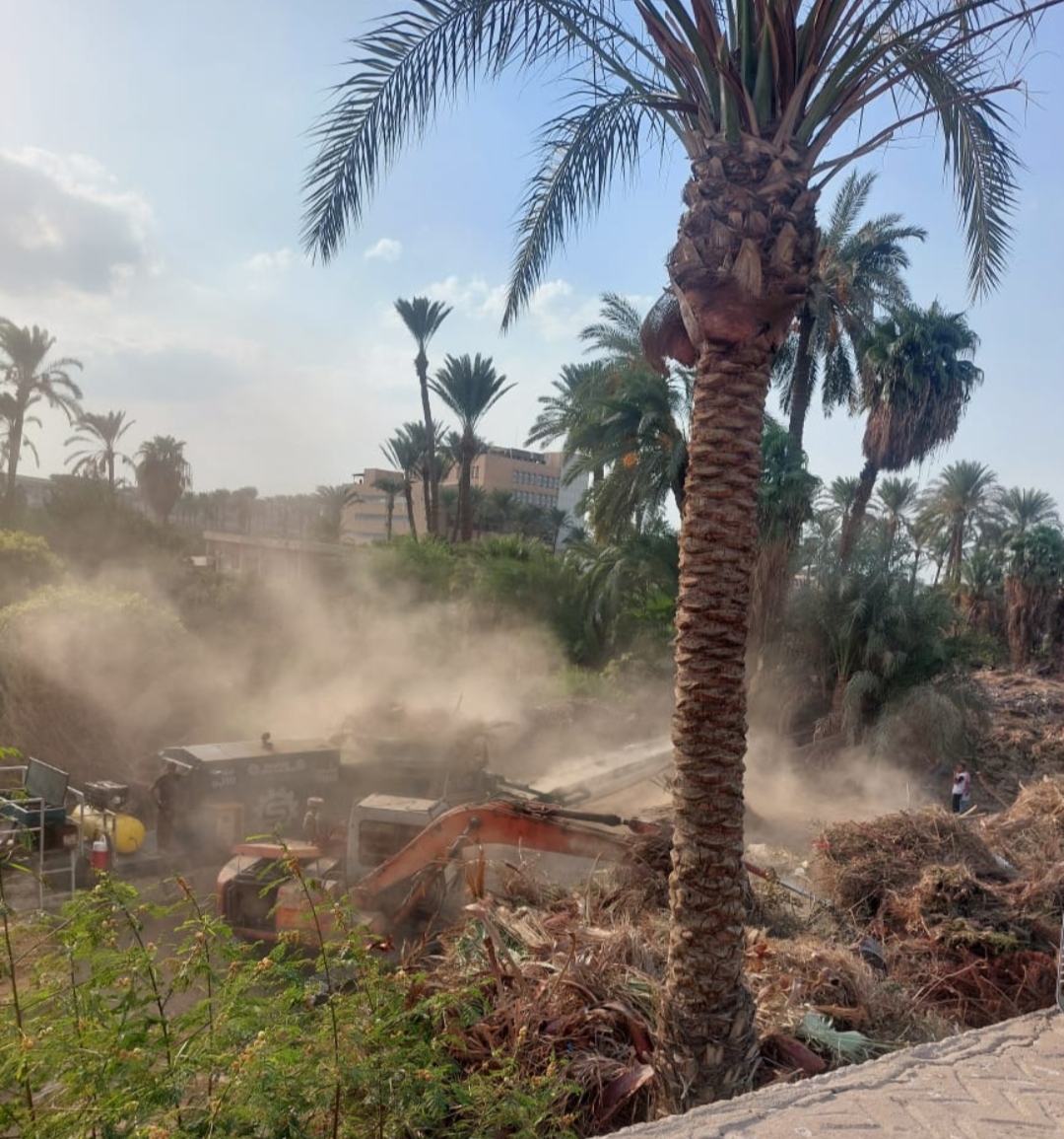 زراعة القاهرة: تحويل النواتج الزراعية إلى مورد مستدام يساهم في التنمية البيئية والاقتصادية