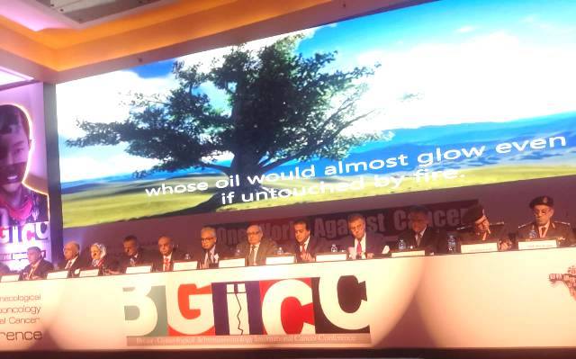 وزير التعليم العالى